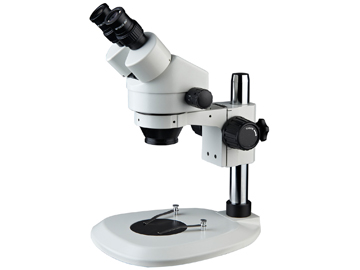 Stereo Microscope