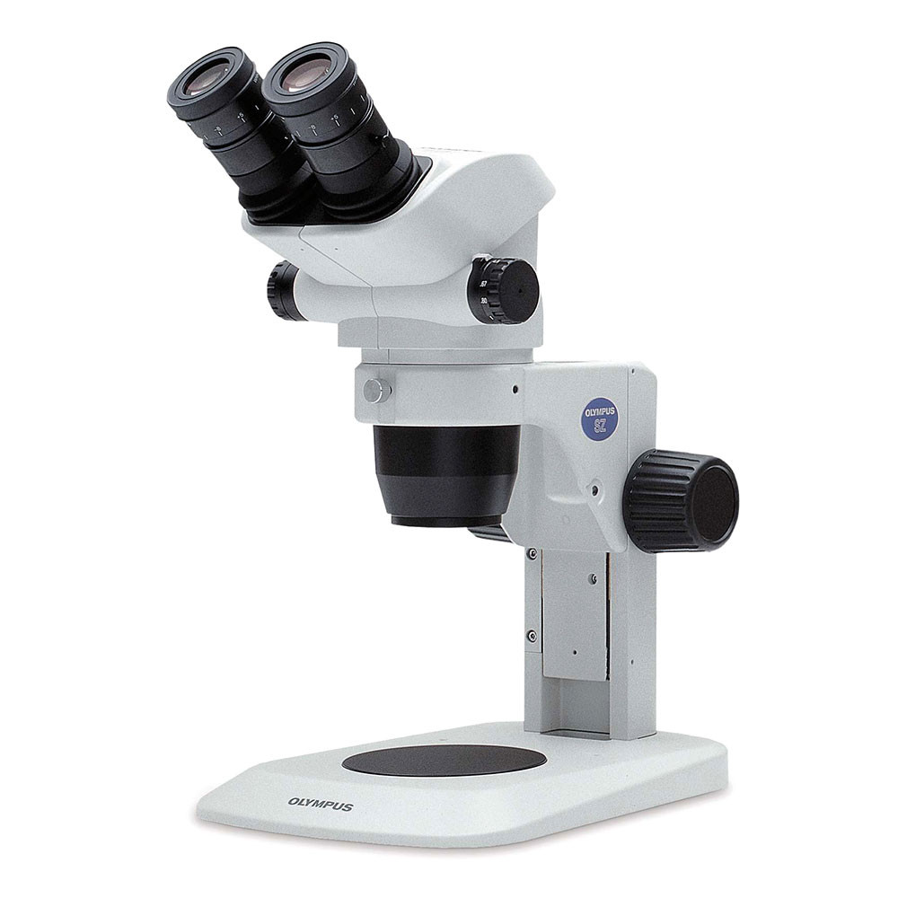 Stereo Microscopes